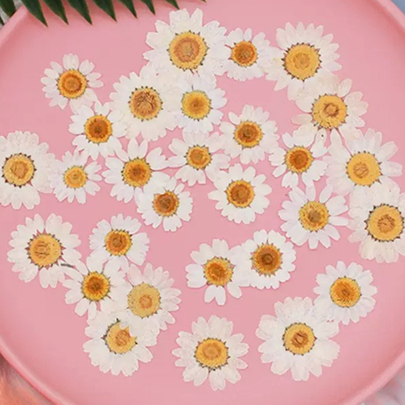 Resin Craft Ideas - 100 Pezzi di Fiori Secchi Naturali