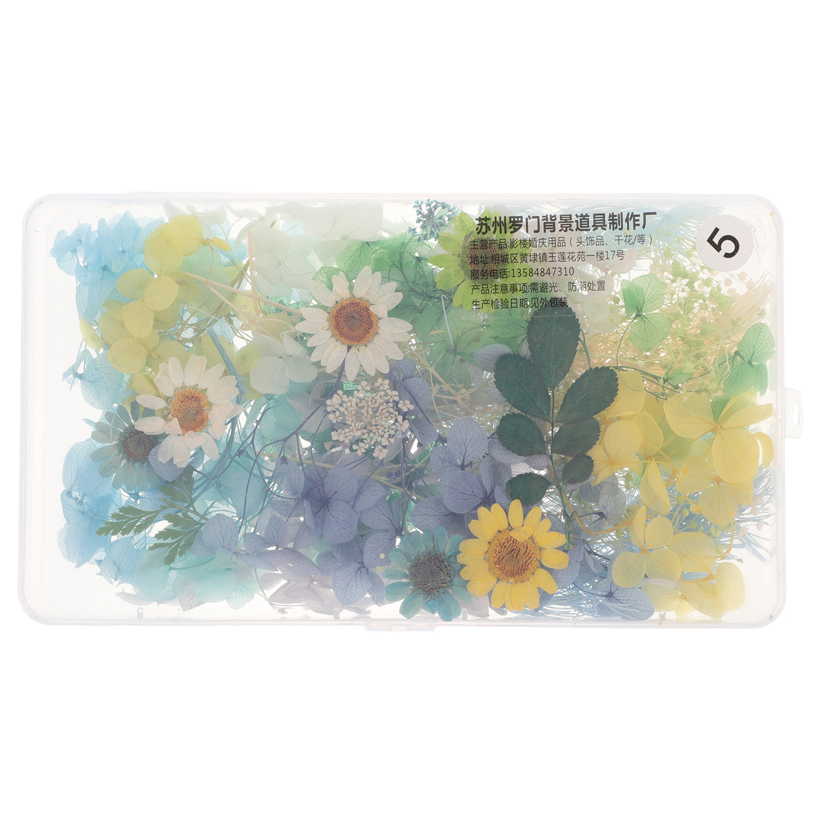 Resin Crafts Diy - Kit di Fiori Secchi per Accessori