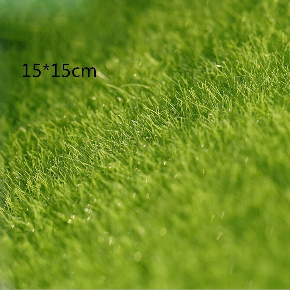 Decorazione per Prato Ecologic - Terrarium Moss Art recensione e prezzo