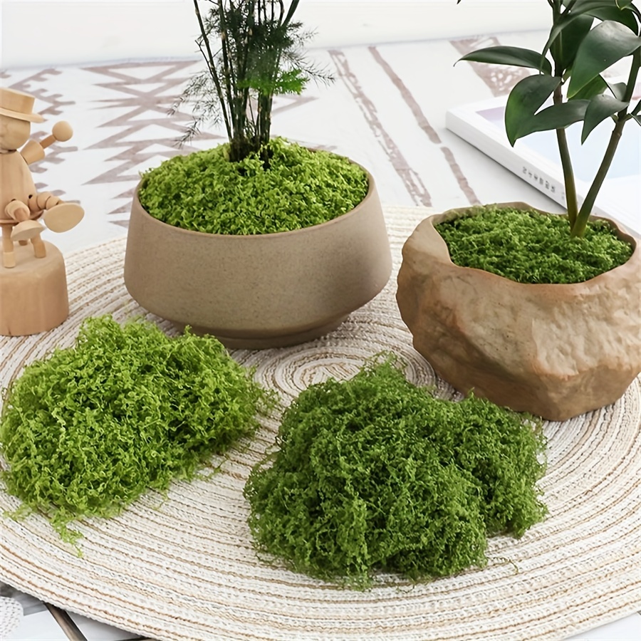 1 confezione di muschio finto  - Terrarium Moss Art recensione e prezzo