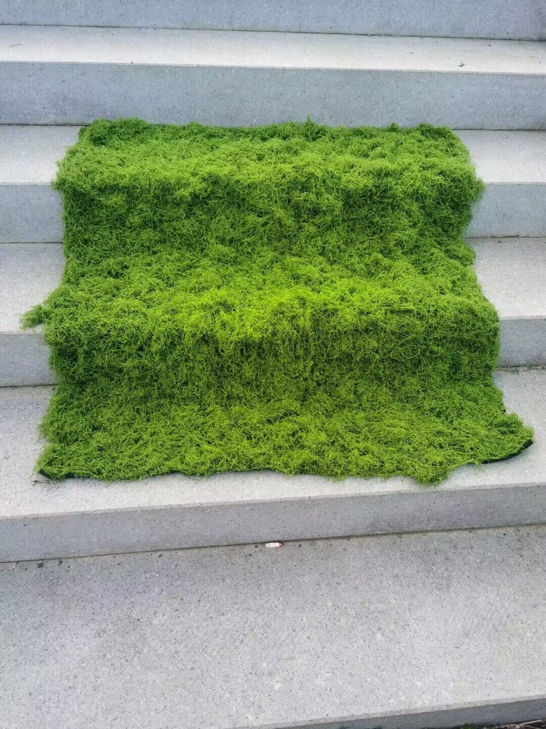 Aqumotico Erba Artificiale Sim - Terrarium Moss Art recensione e prezzo