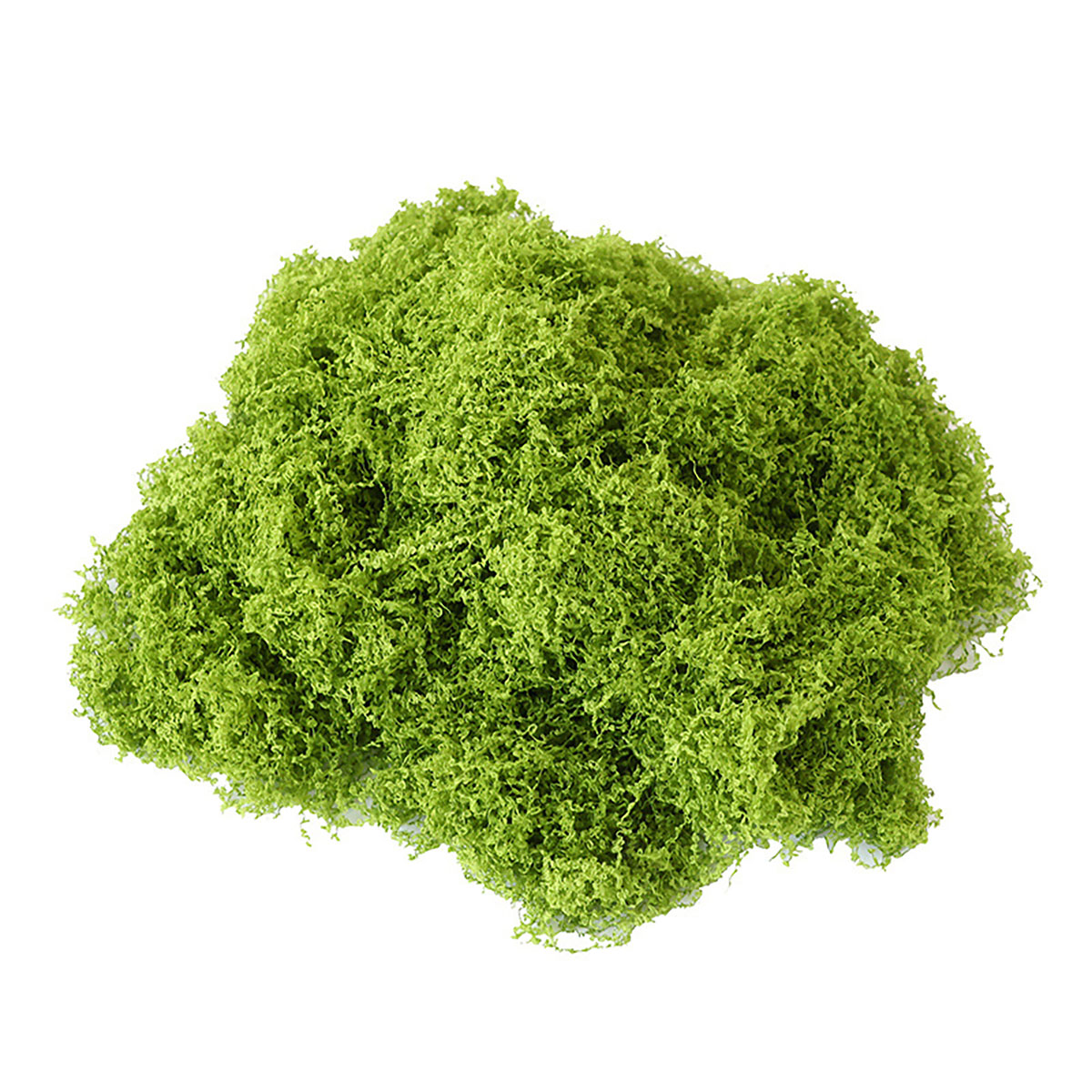 Piante Verdi Artificiali in Po - Terrarium Moss Art recensione e prezzo