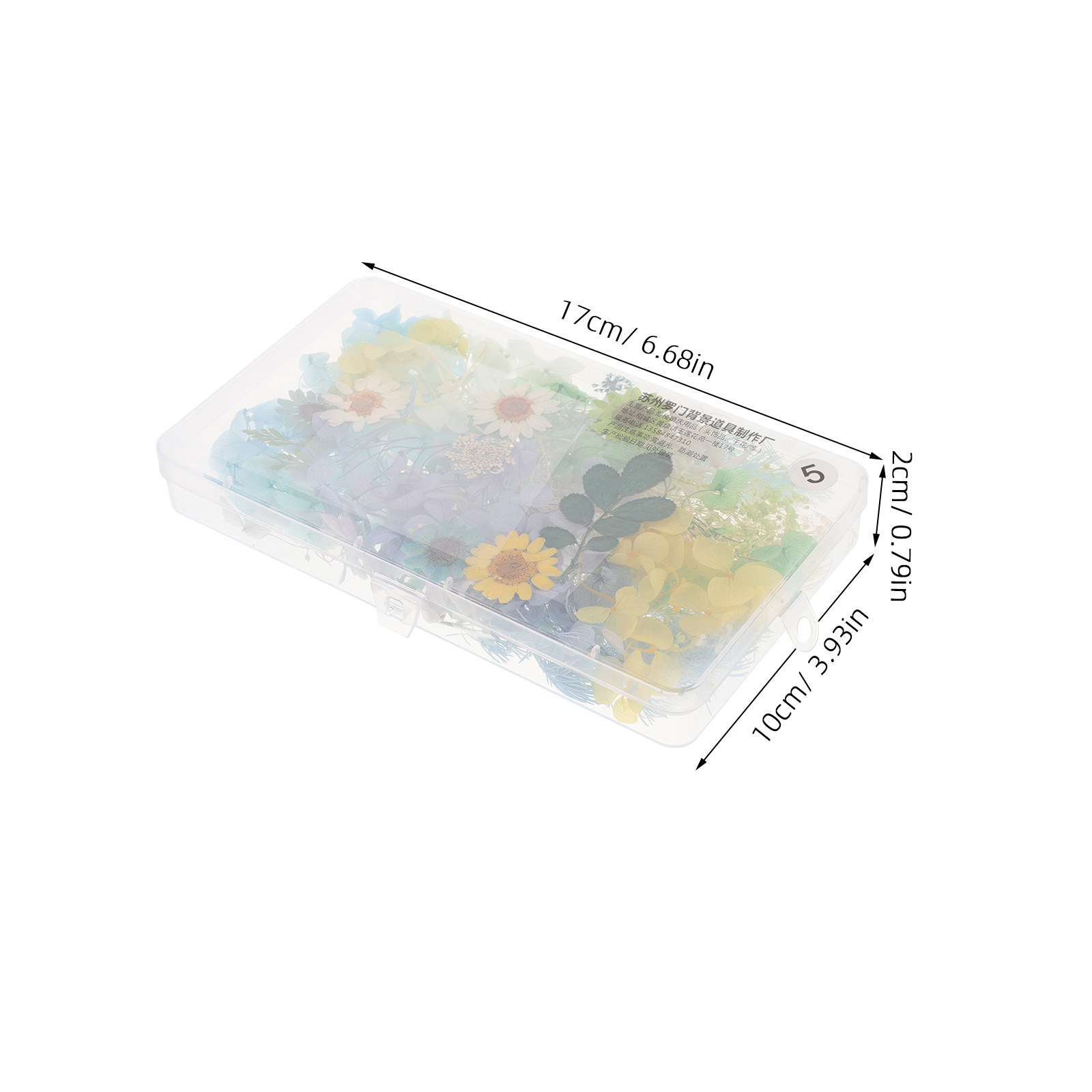 Kit di Fiori Secchi per Access - Resin Crafts Diy recensione e prezzo