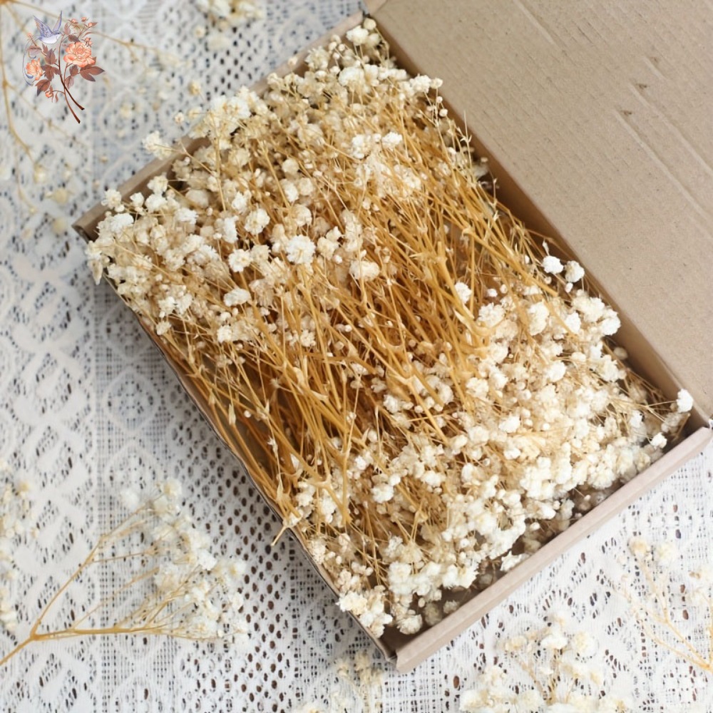 100 Pezzi Mini Fiori Secchi di - Resin Craft Ideas recensione e prezzo