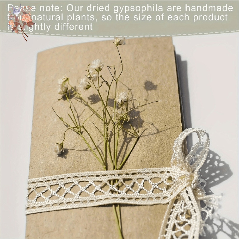 100 Pezzi Mini Fiori Secchi di - Resin Craft Ideas recensione e prezzo